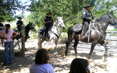 Police riding horses